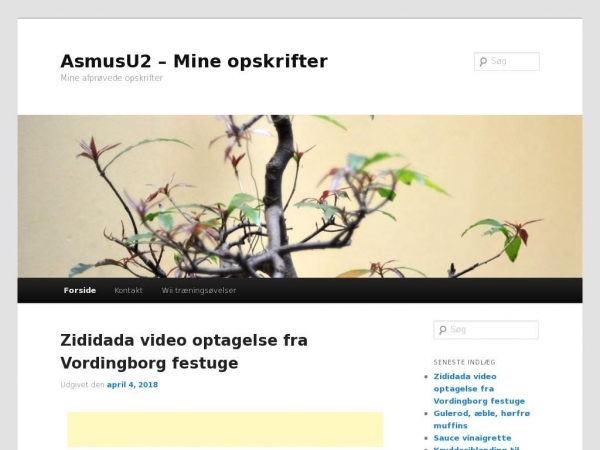asmusu2.dk