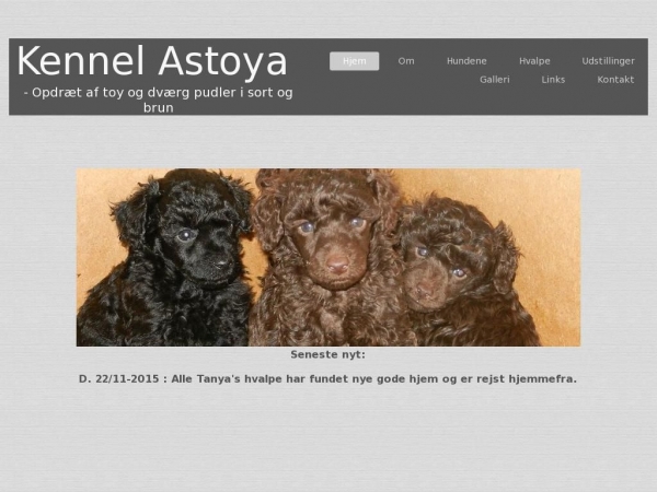 astoya.dk