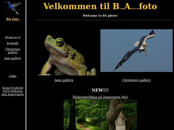 bafoto.dk