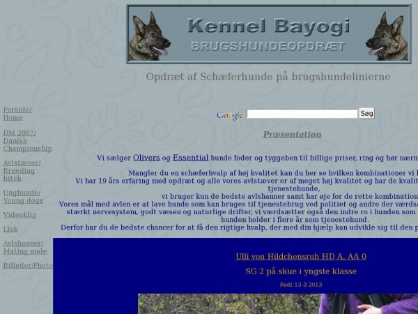 bayogi.dk