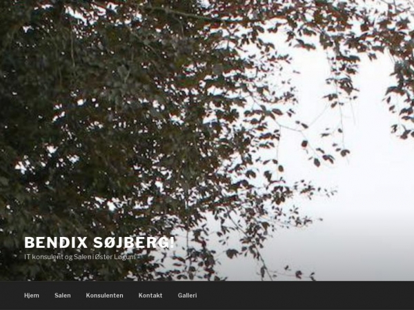 bendixsoejberg.dk
