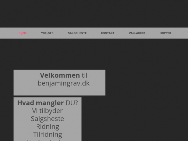 benjamingrav.dk