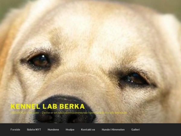 berka.dk
