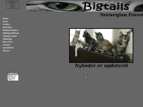 bigtails.dk