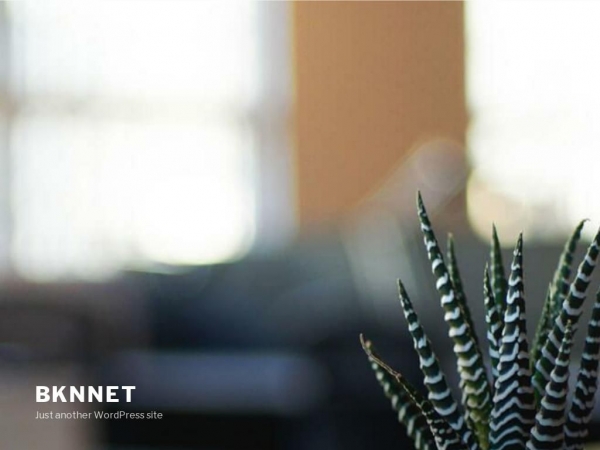 bknnet.dk