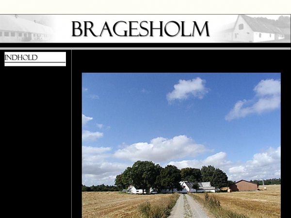 bragesholm.dk
