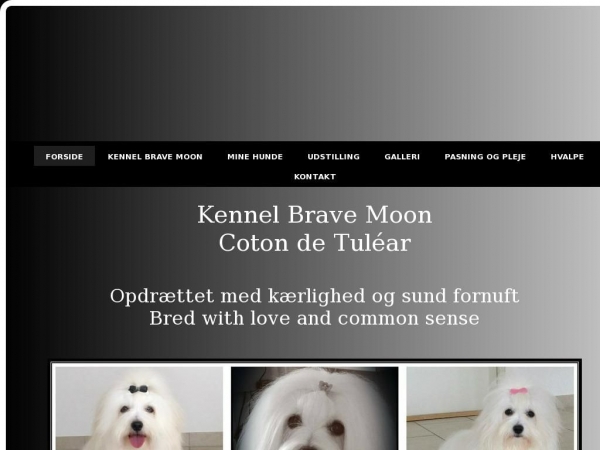 bravemoon.dk