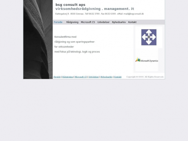 bsgconsult.dk