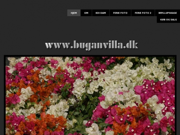 buganvilla.dk