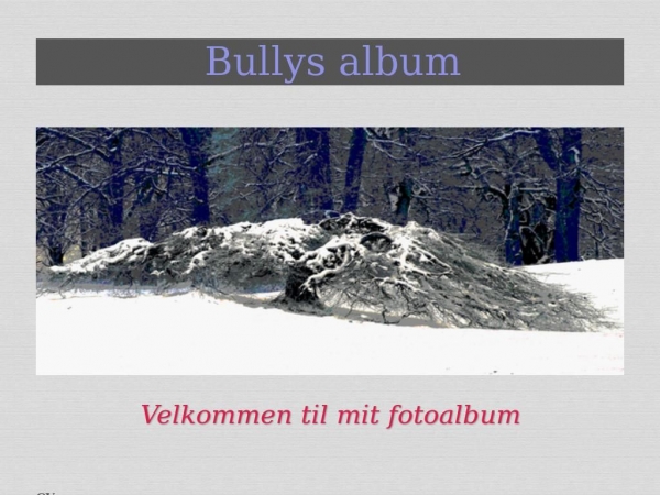 bullys.dk