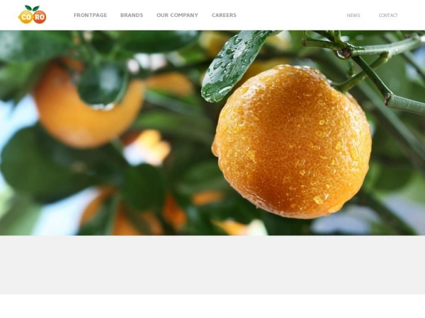 cadiso.dk