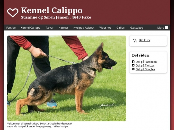 calippo.dk