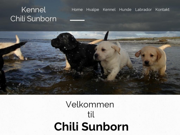 chilisunborn.dk