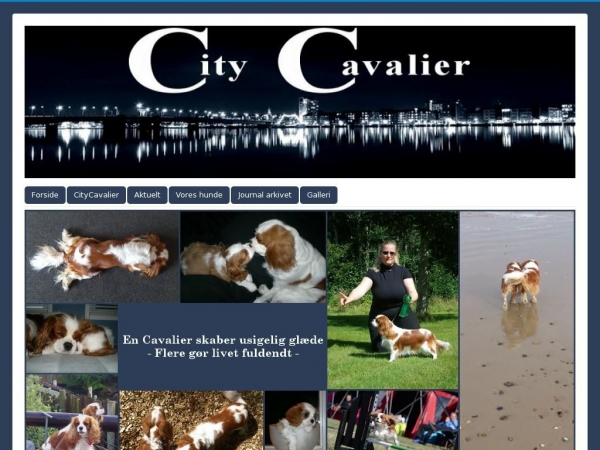 citycavalier.dk