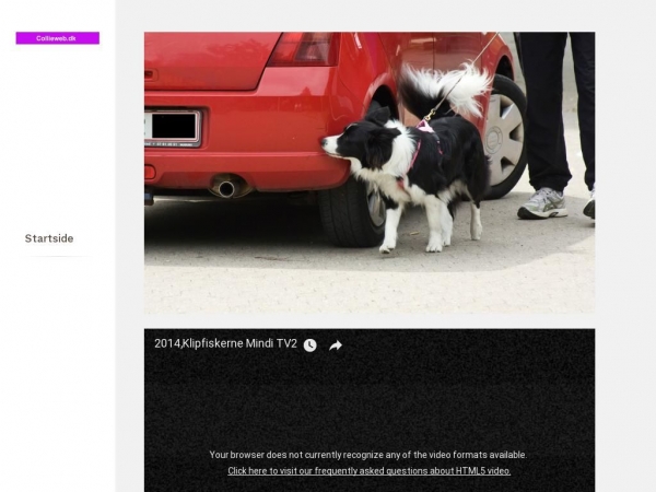 collieweb.dk