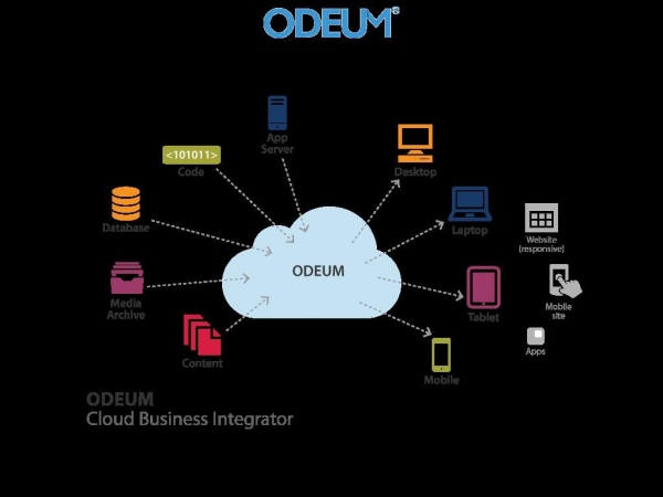 contentmanagementsystem.dk
