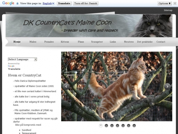 countrycat.dk