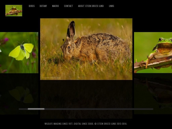 dan-image.dk