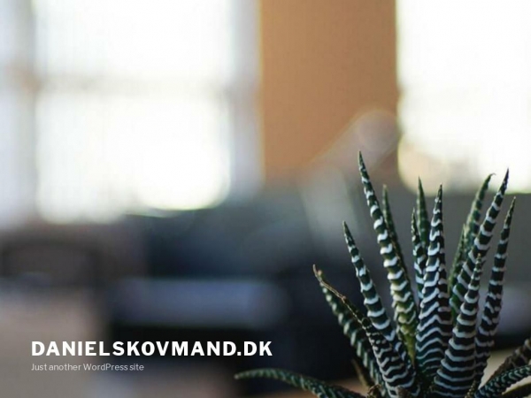 danielskovmand.dk