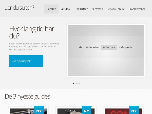 danionics.dk