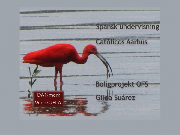 danuela.dk