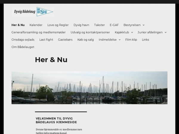 db-dyvig.dk