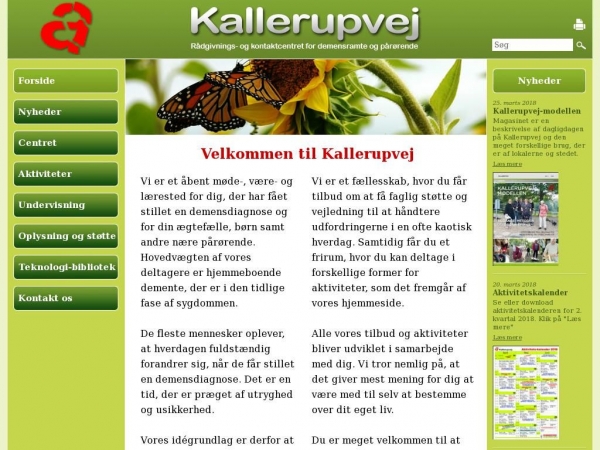 demensramt.dk