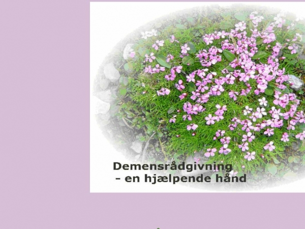 demroa.dk