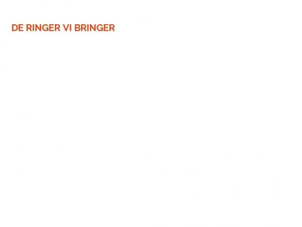 deringervibringer.dk