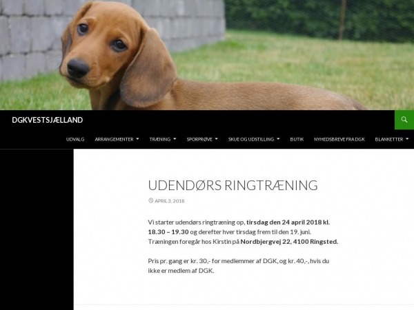 dgkvestsj.dk