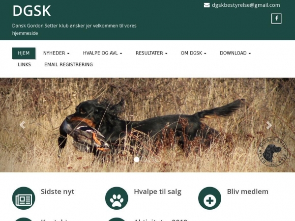 dgsk.dk