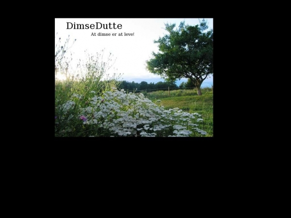 dimsedutte.dk
