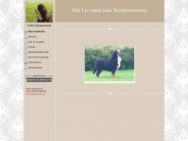 disko-henning.dk
