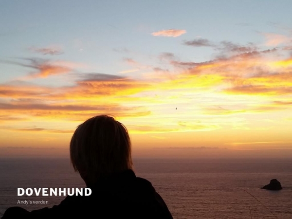 dovenhund.dk
