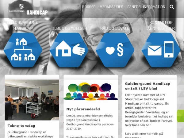 dsvfalster.dk