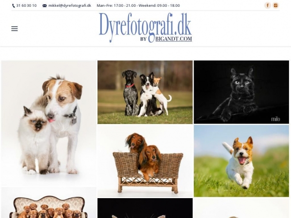 dyrefotografi.dk