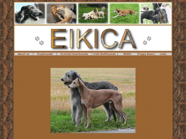 eikica.dk