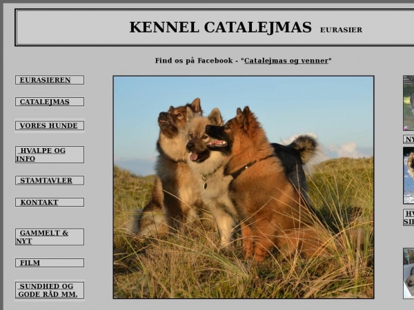 eurasier-catalina.dk