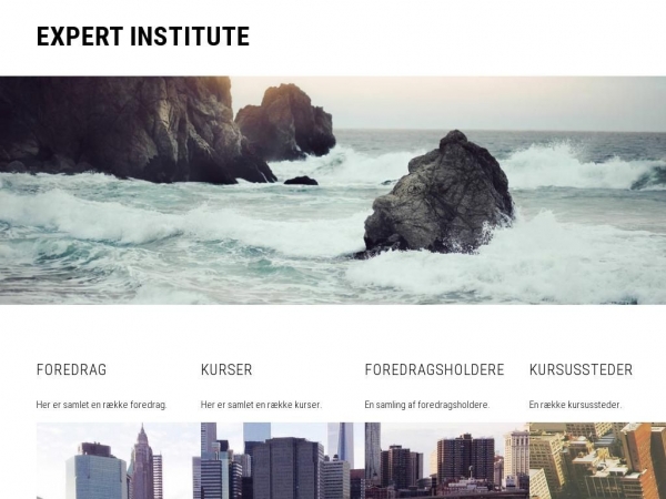 expertinstitute.dk