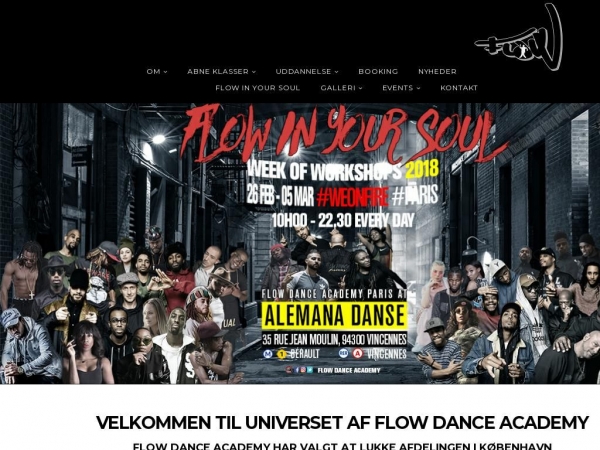 flowdanceacademy.dk