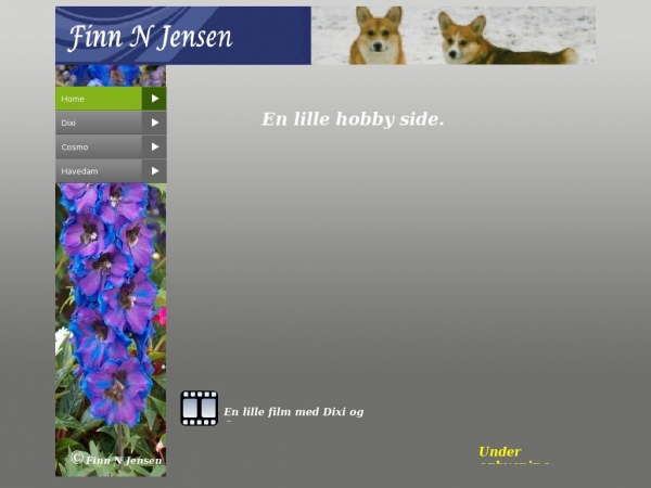 fnj.dk