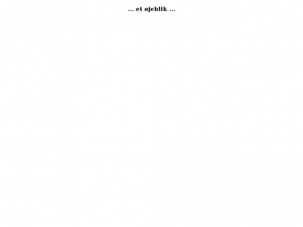 fys.dk