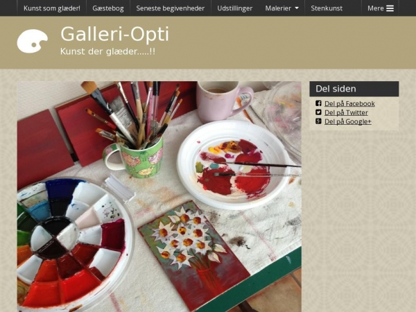 galleri-opti.dk