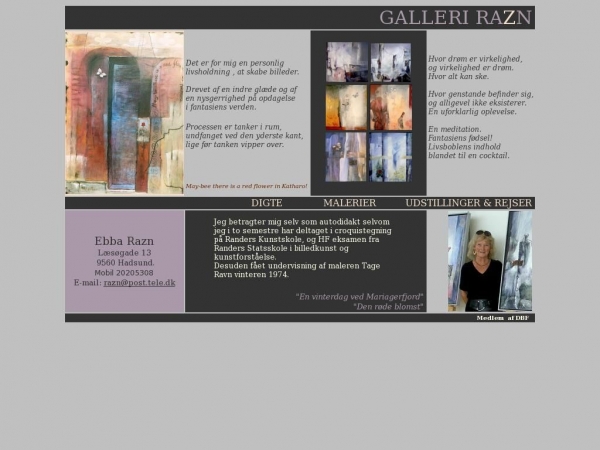 galleri-razn.dk
