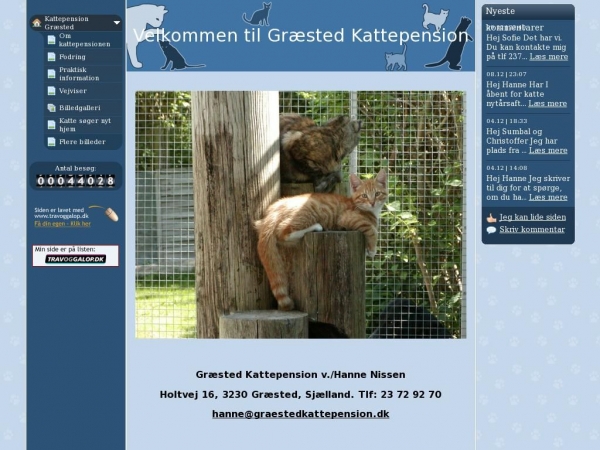 graestedkattepension.dk