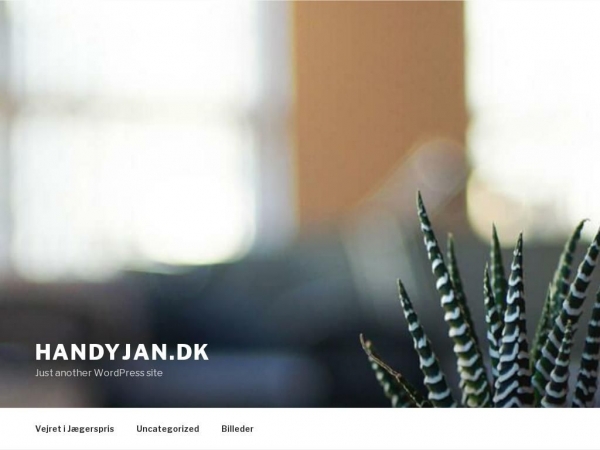 handyjan.dk