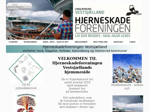 hjerneskaden.dk