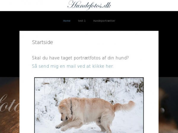 hundefotos.dk