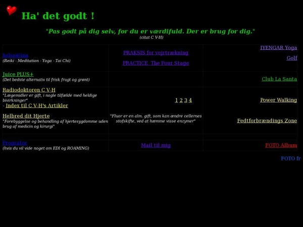ina.dk