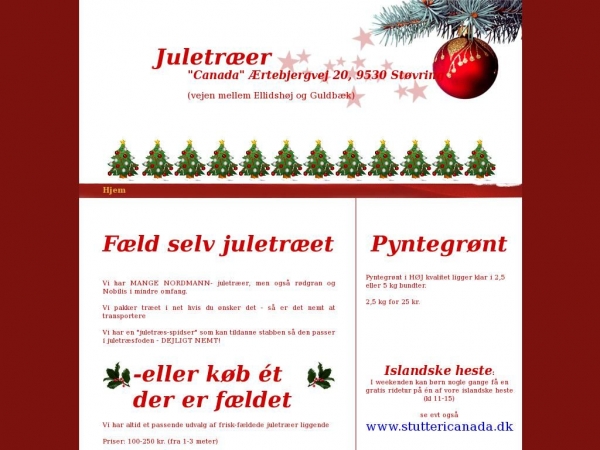 juletraer.dk